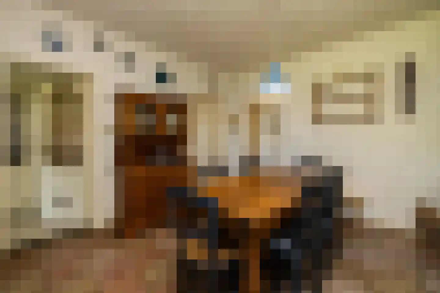 Bonrepas 8 Vlist thumbnail 31