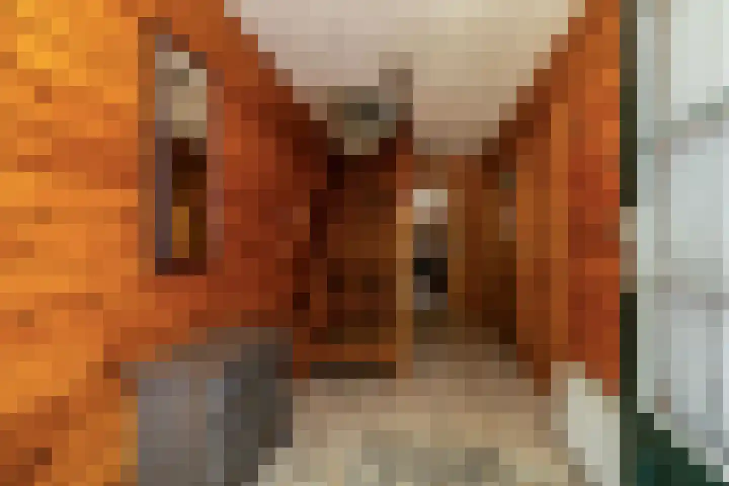 Bonrepas 8 Vlist thumbnail 34