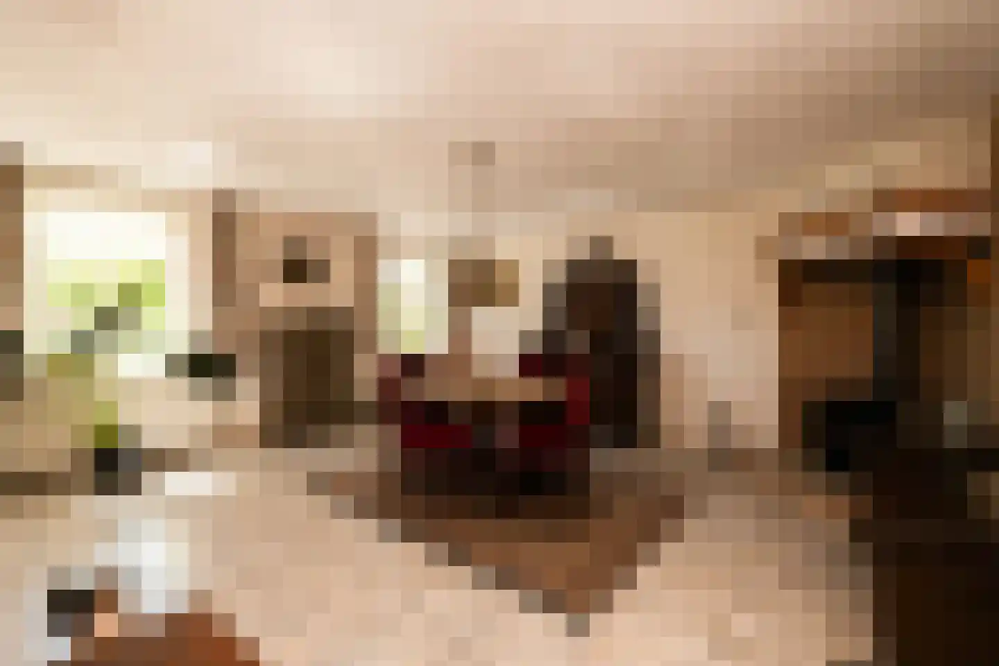 Bonrepas 8 Vlist thumbnail 36