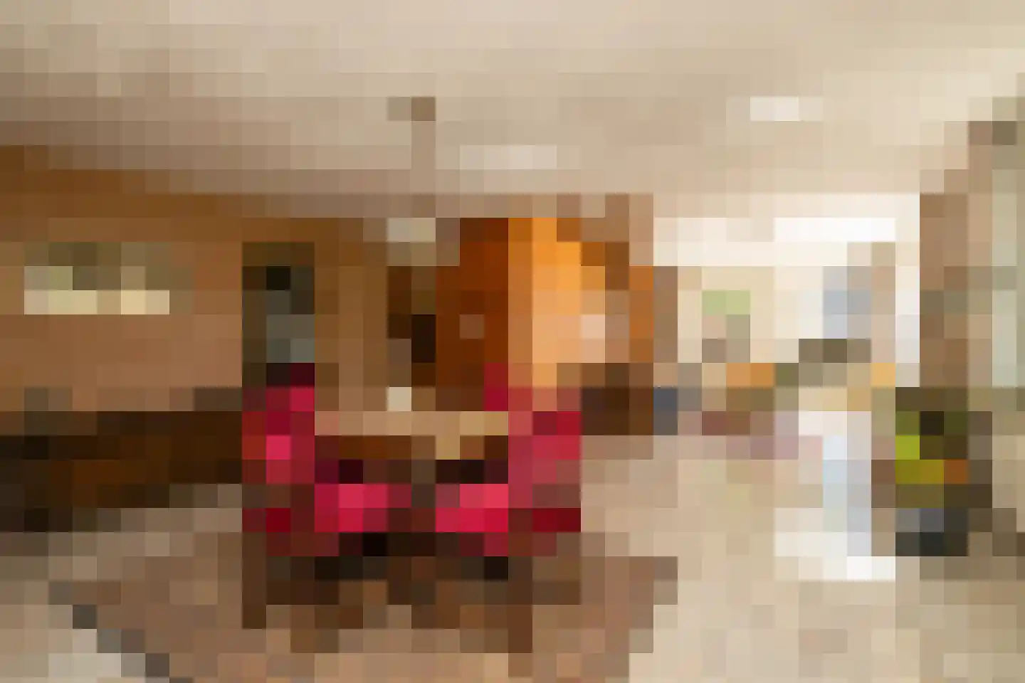 Bonrepas 8 Vlist thumbnail 38