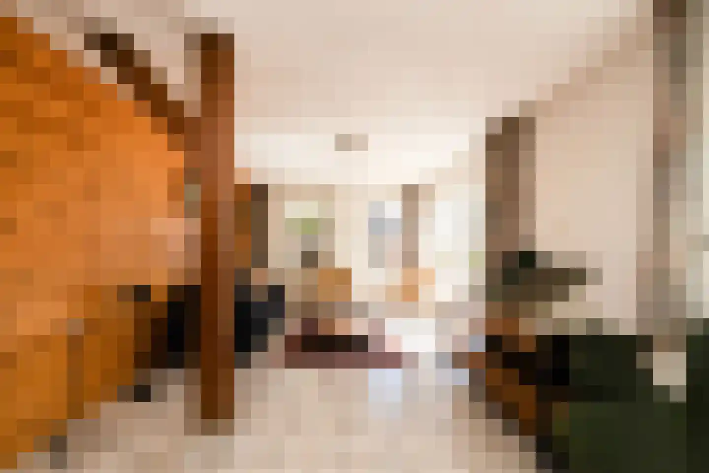 Bonrepas 8 Vlist thumbnail 39