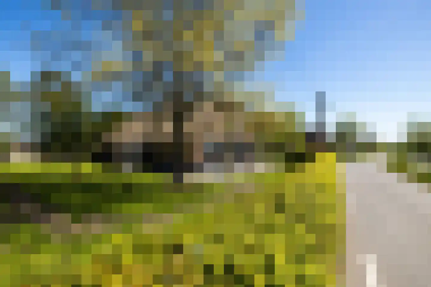 Bonrepas 8 Vlist thumbnail 4