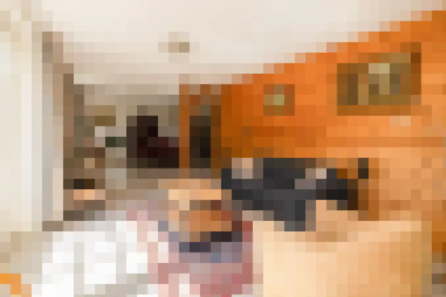 Bonrepas 8 Vlist thumbnail 40