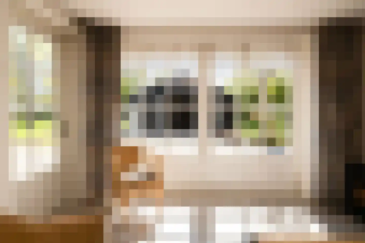 Bonrepas 8 Vlist thumbnail 42