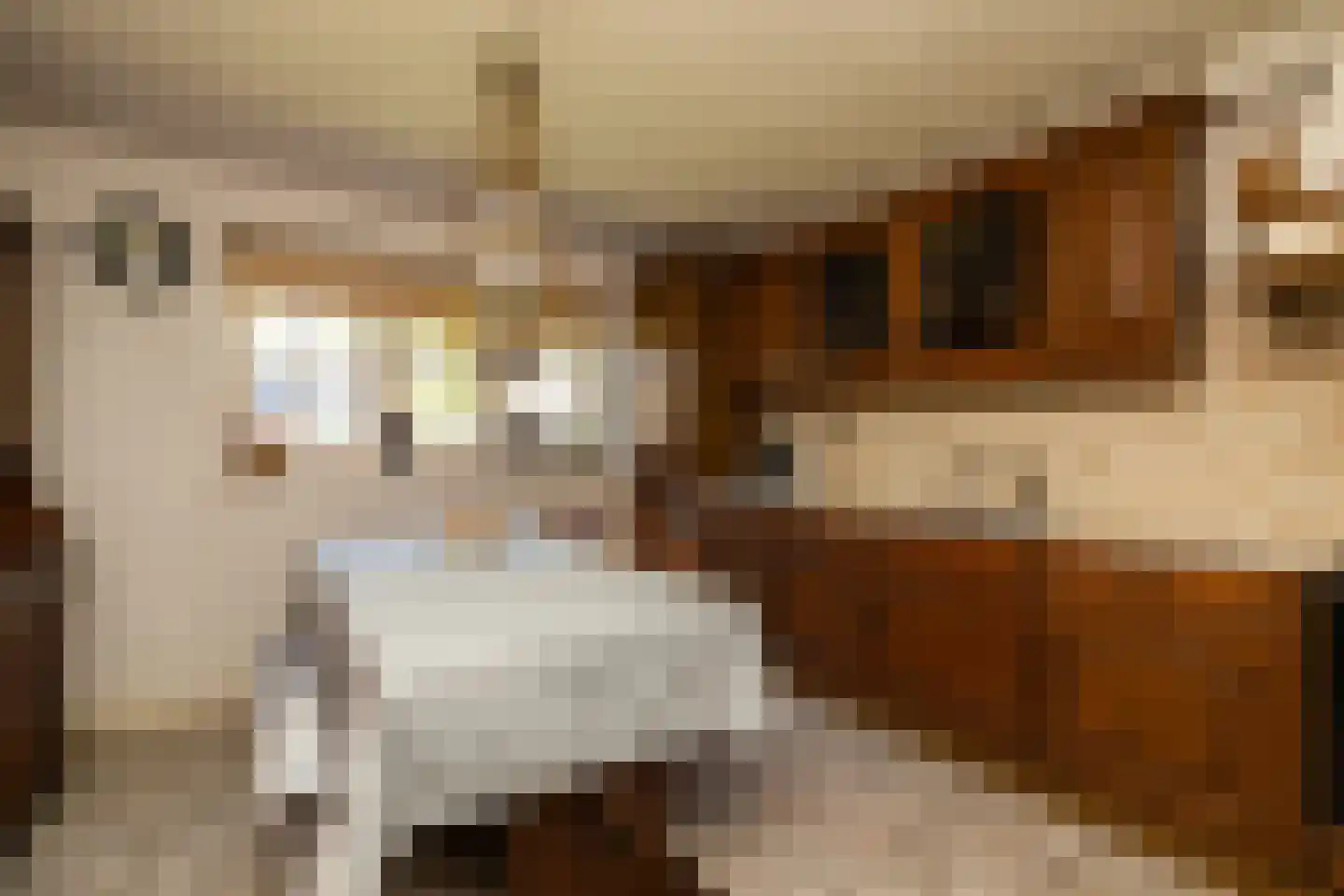 Bonrepas 8 Vlist thumbnail 46