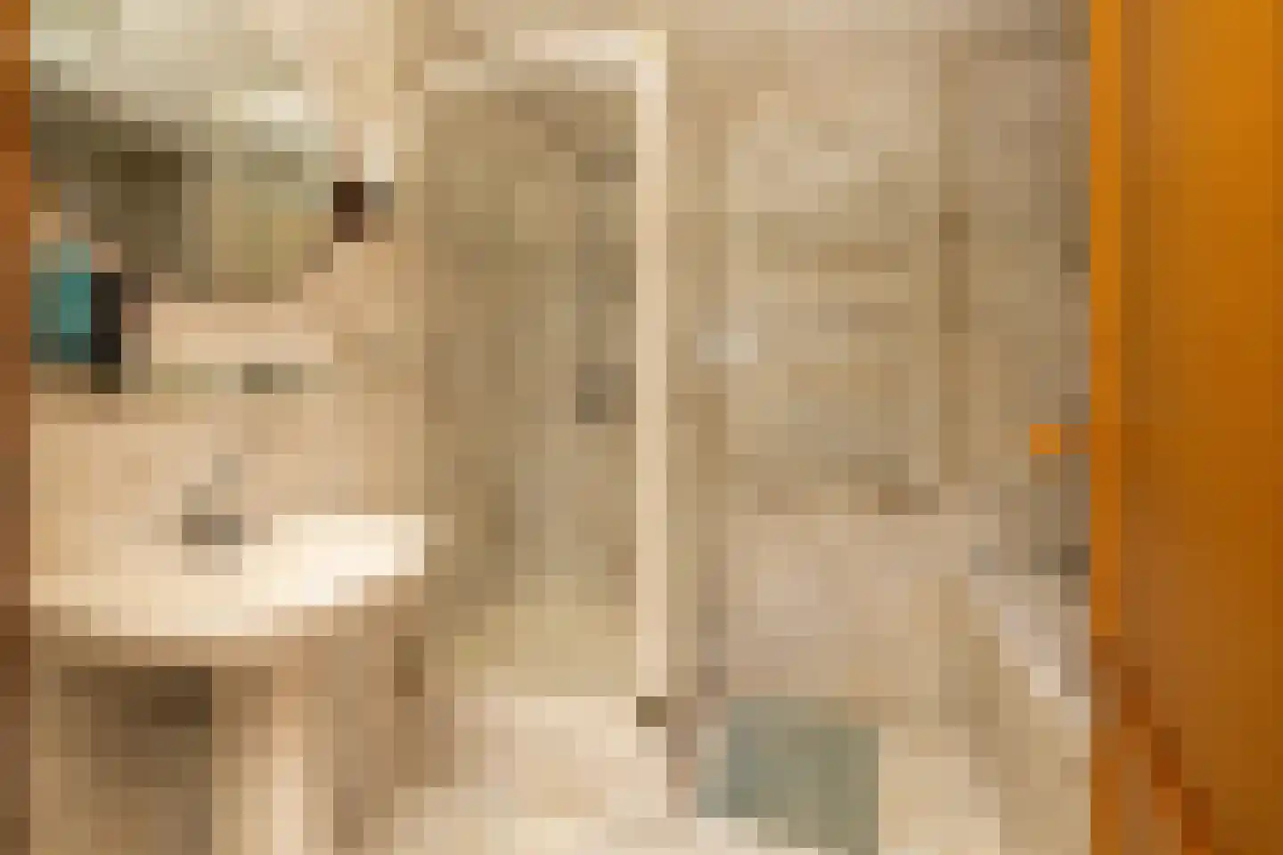 Bonrepas 8 Vlist thumbnail 50