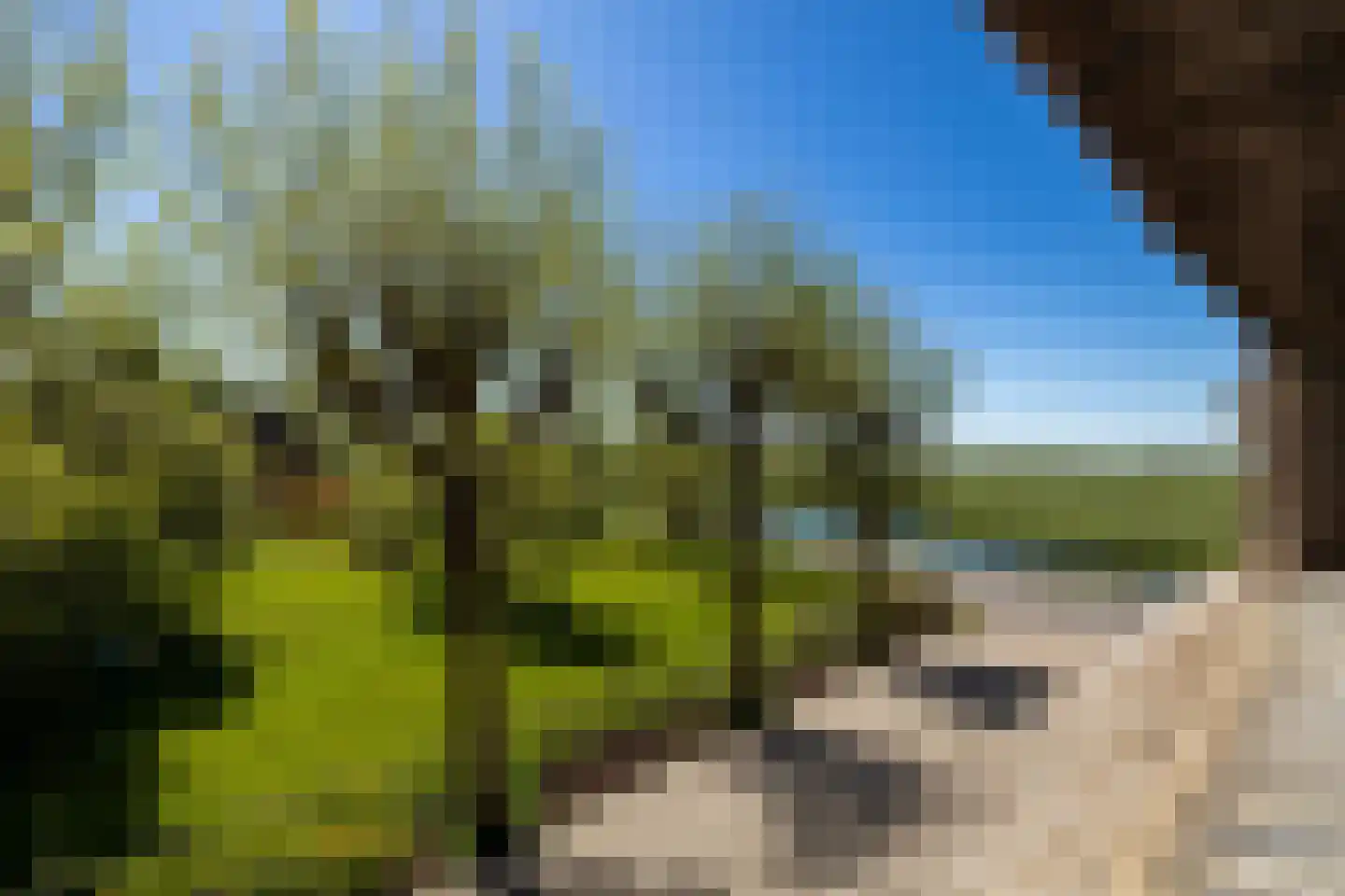 Bonrepas 8 Vlist thumbnail 68