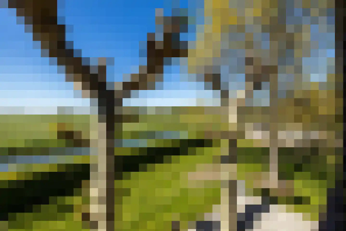 Bonrepas 8 Vlist thumbnail 69