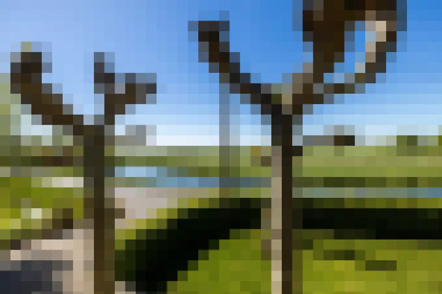 Bonrepas 8 Vlist thumbnail 70