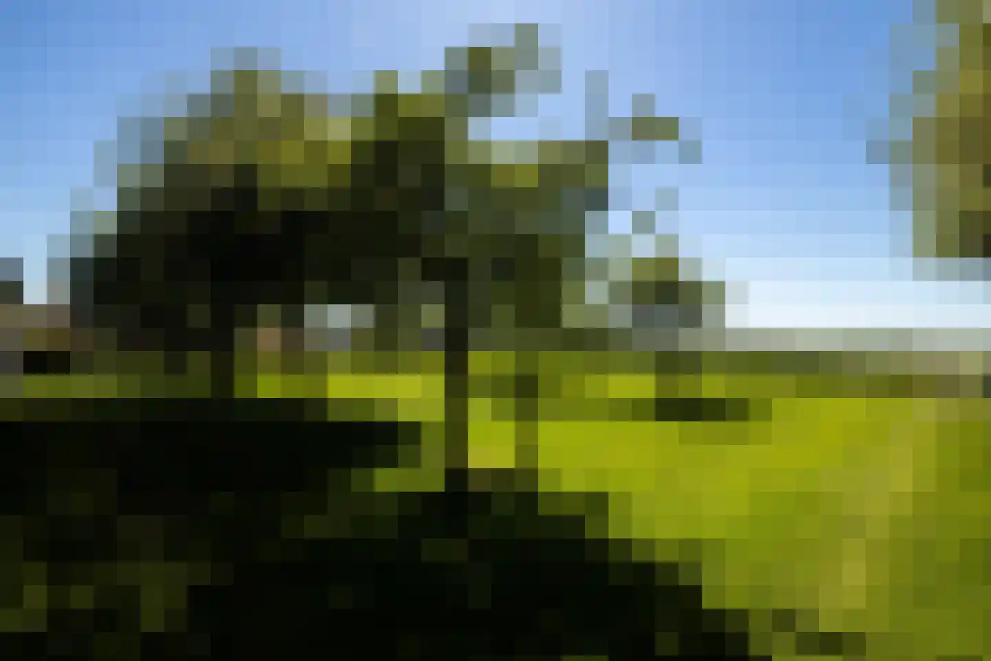 Bonrepas 8 Vlist thumbnail 76