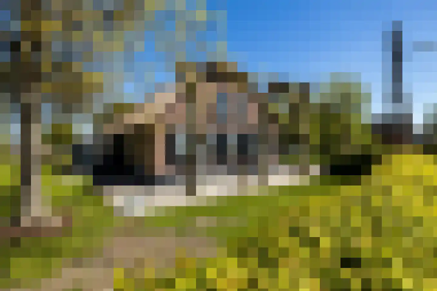 Bonrepas 8 Vlist thumbnail 8