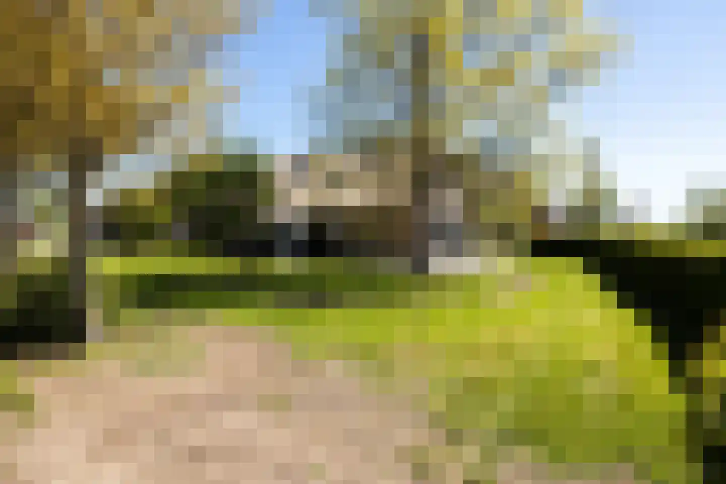 Bonrepas 8 Vlist thumbnail 80
