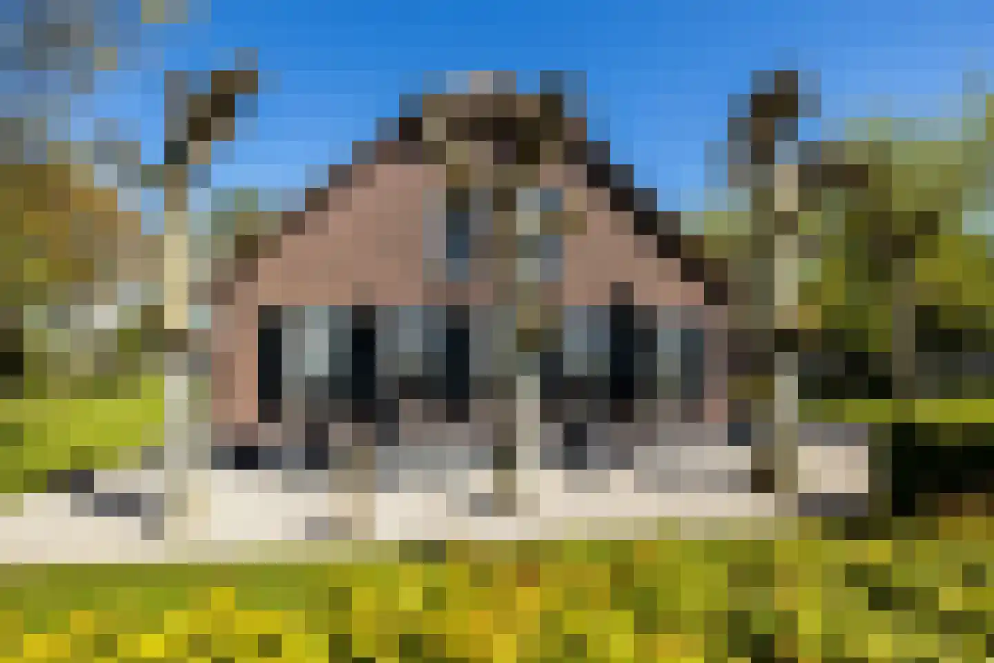 Bonrepas 8 Vlist thumbnail 9