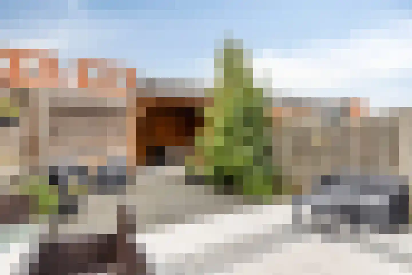 Bonsaistraat 18 Purmerend thumbnail 38