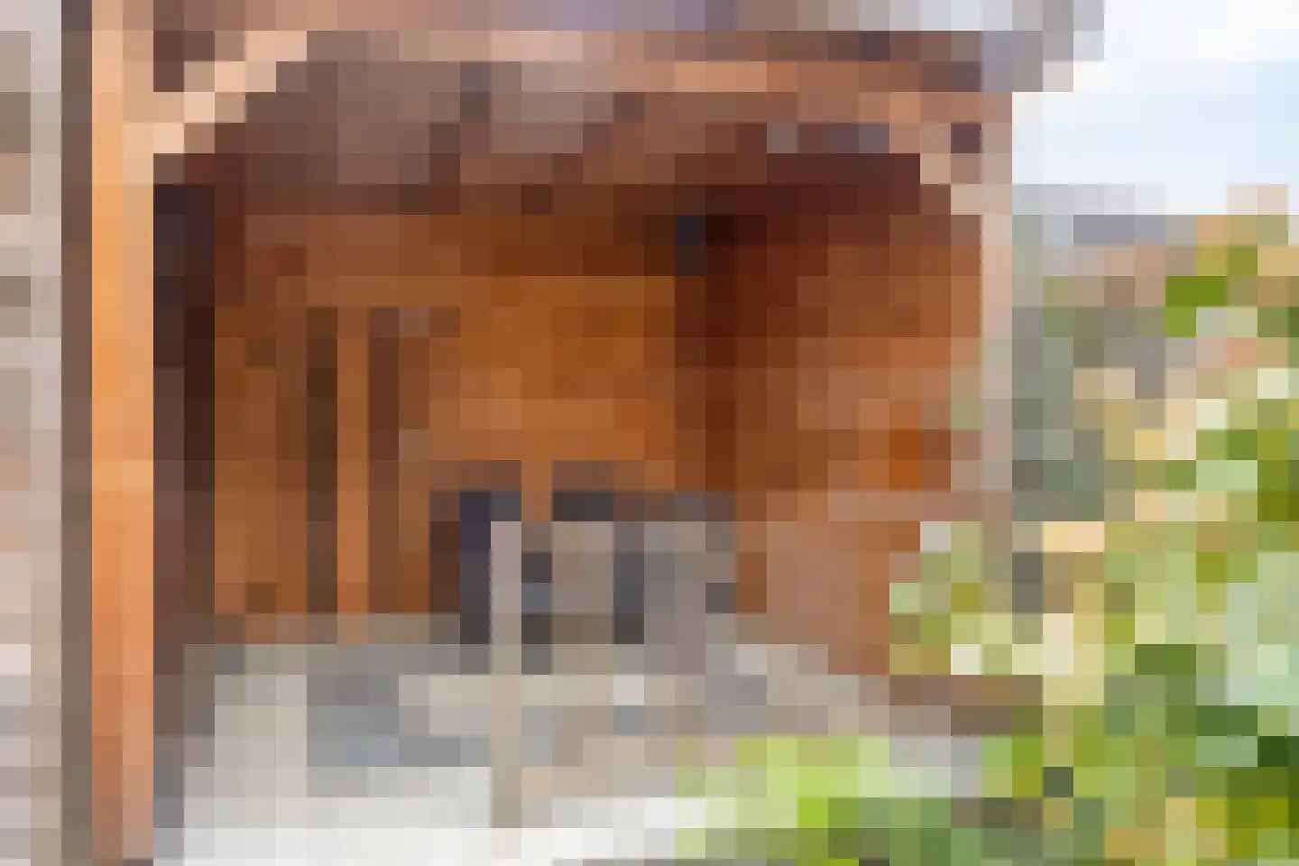 Bonsaistraat 18 Purmerend thumbnail 39