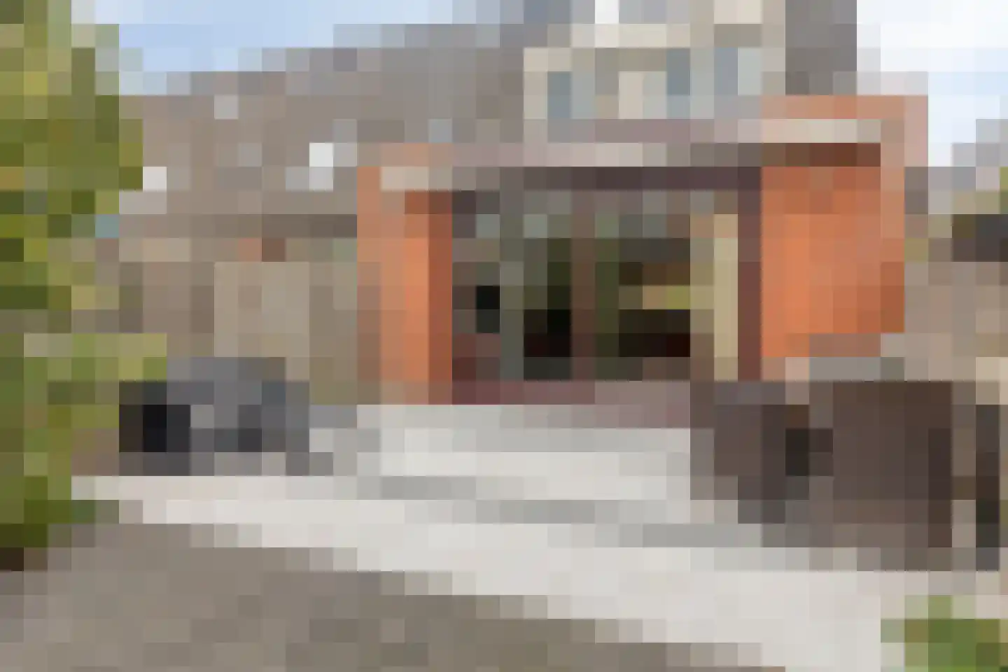 Bonsaistraat 18 Purmerend thumbnail 41