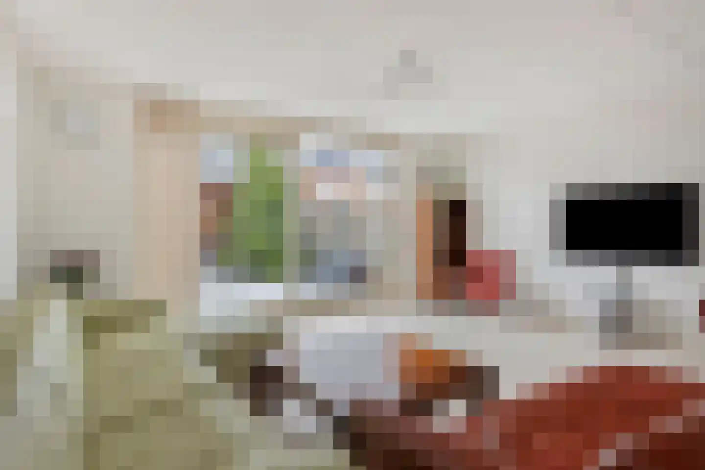 Bonsaistraat 18 Purmerend thumbnail 9