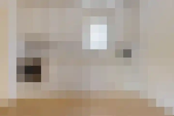 Bonserdyk 9 Sneek thumbnail 10