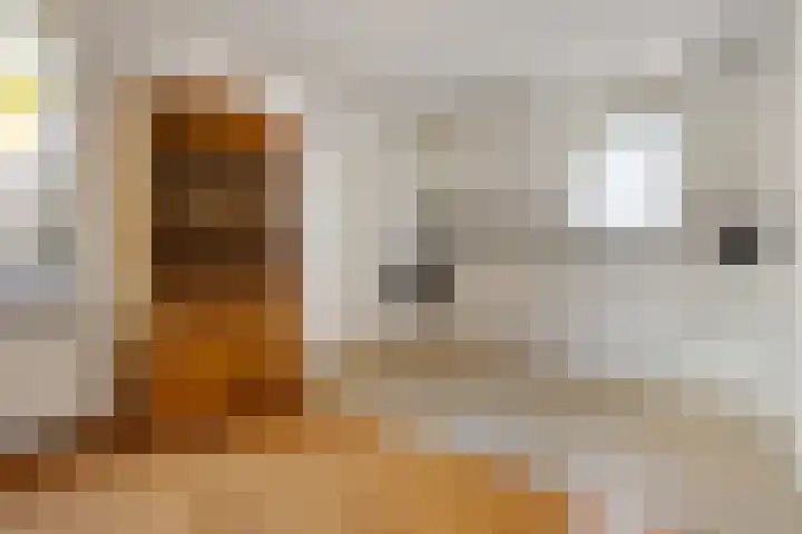 Bonserdyk 9 Sneek thumbnail 11