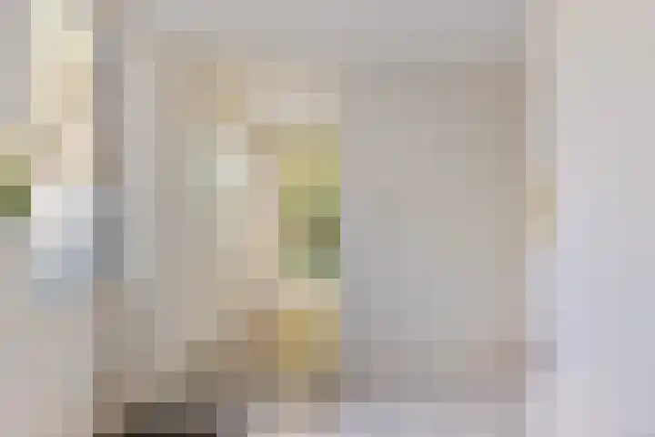 Bonserdyk 9 Sneek thumbnail 12
