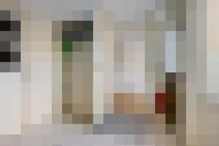 Bonserdyk 9 Sneek thumbnail 13
