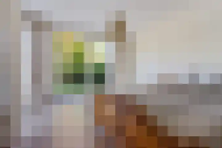 Bonserdyk 9 Sneek thumbnail 14