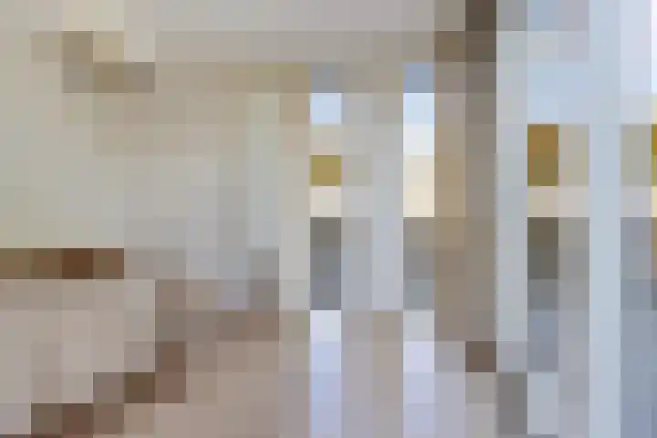 Bonserdyk 9 Sneek thumbnail 15
