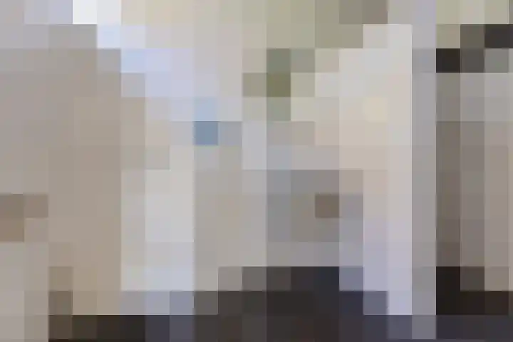 Bonserdyk 9 Sneek thumbnail 16