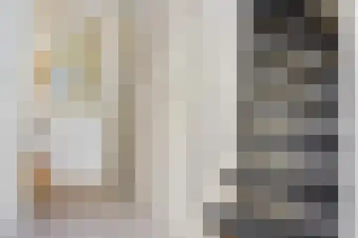 Bonserdyk 9 Sneek thumbnail 19