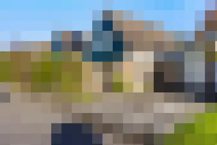 Bonserdyk 9 Sneek foto 2