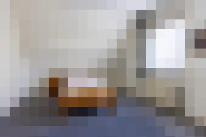 Bonserdyk 9 Sneek thumbnail 25