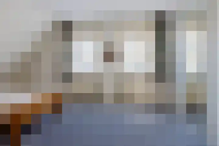 Bonserdyk 9 Sneek thumbnail 26
