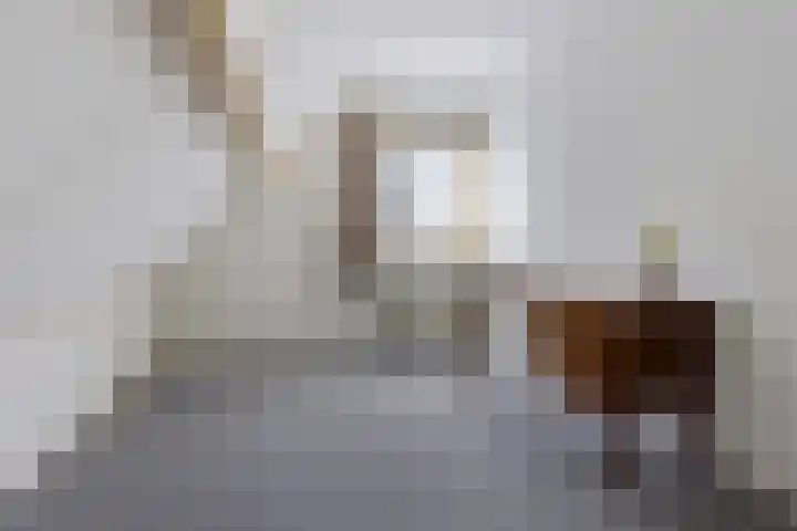 Bonserdyk 9 Sneek thumbnail 27