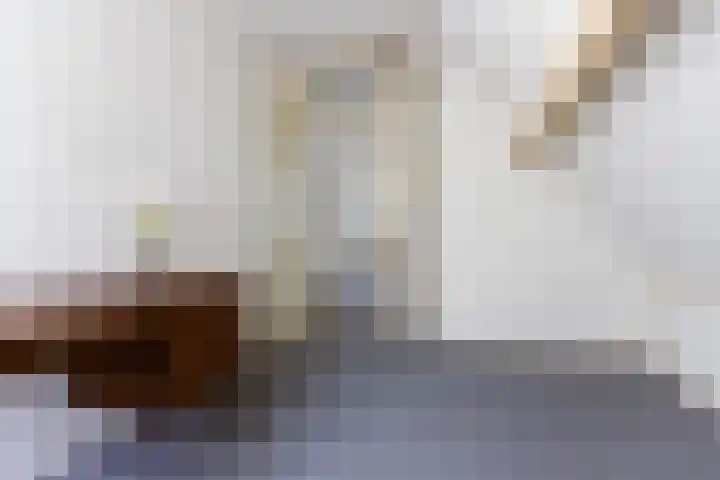 Bonserdyk 9 Sneek thumbnail 28