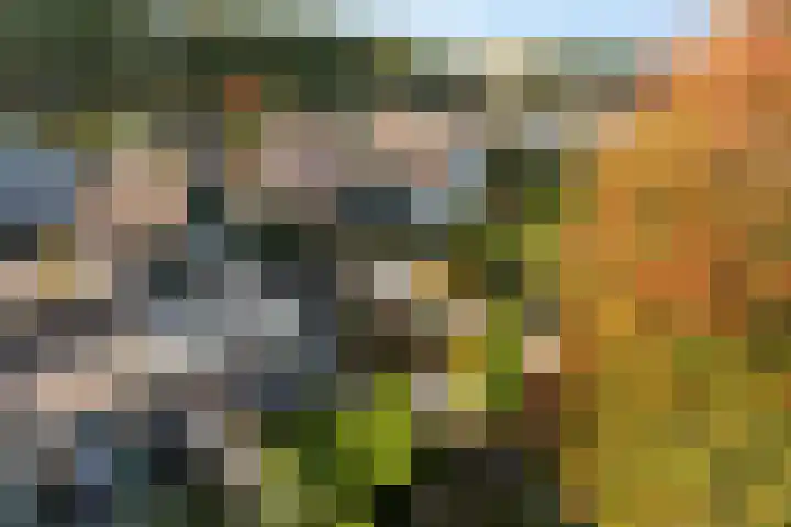 Bonserdyk 9 Sneek foto 3
