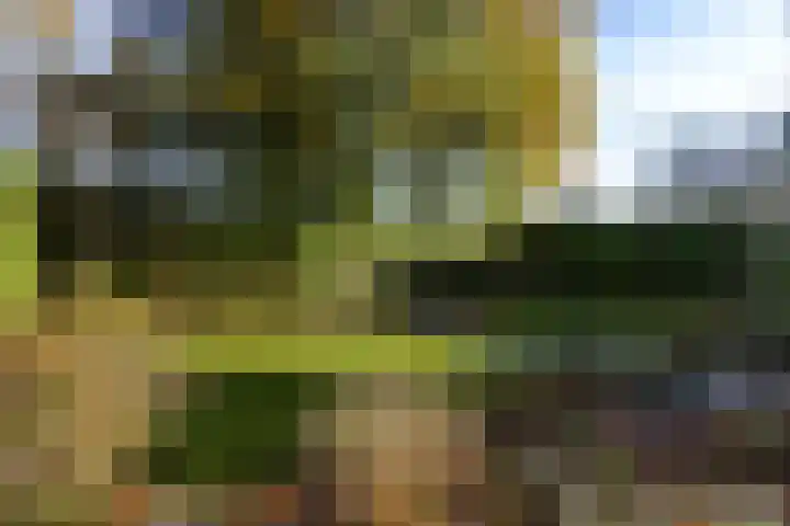 Bonserdyk 9 Sneek thumbnail 37
