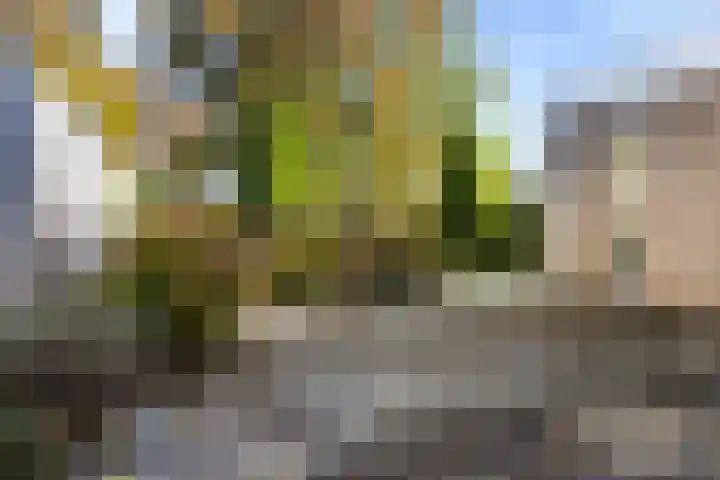 Bonserdyk 9 Sneek thumbnail 38