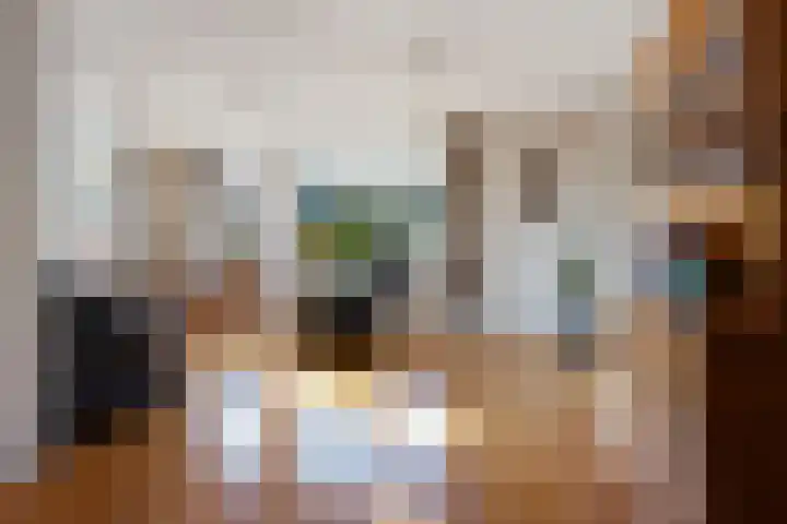 Bonserdyk 9 Sneek thumbnail 4