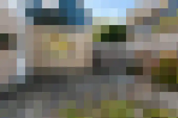 Bonserdyk 9 Sneek thumbnail 40