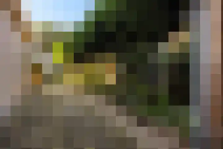 Bonserdyk 9 Sneek thumbnail 41