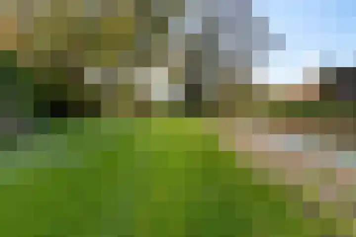 Bonserdyk 9 Sneek thumbnail 42