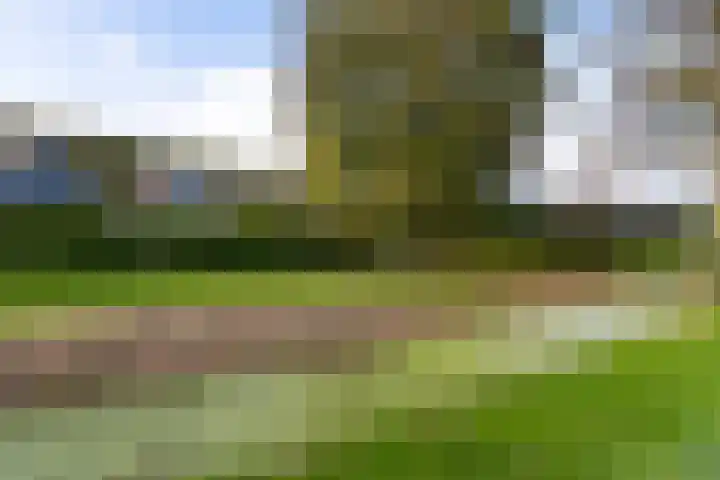 Bonserdyk 9 Sneek thumbnail 43