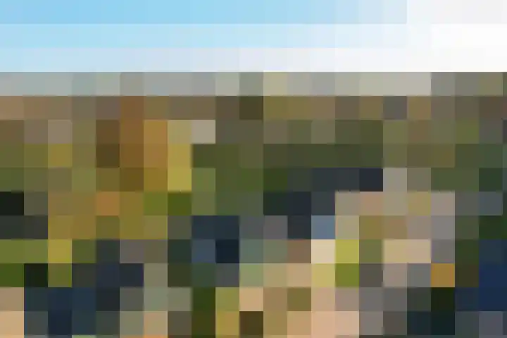 Bonserdyk 9 Sneek thumbnail 44