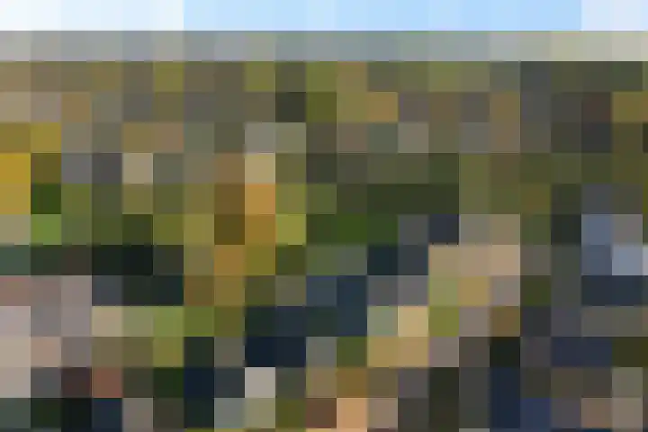 Bonserdyk 9 Sneek thumbnail 45