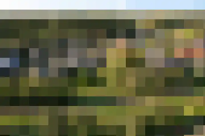 Bonserdyk 9 Sneek thumbnail 46