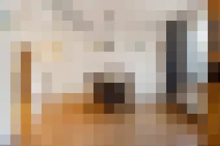 Bonserdyk 9 Sneek thumbnail 9