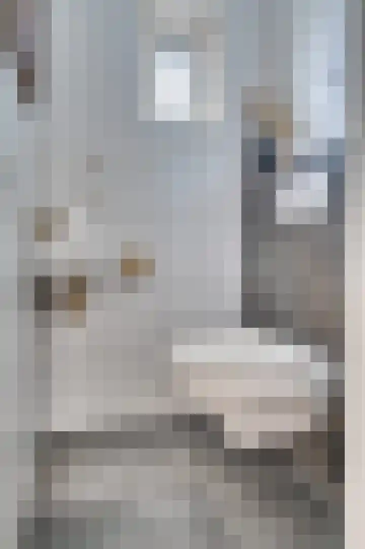Bontampsstraat 14 Venlo thumbnail 6