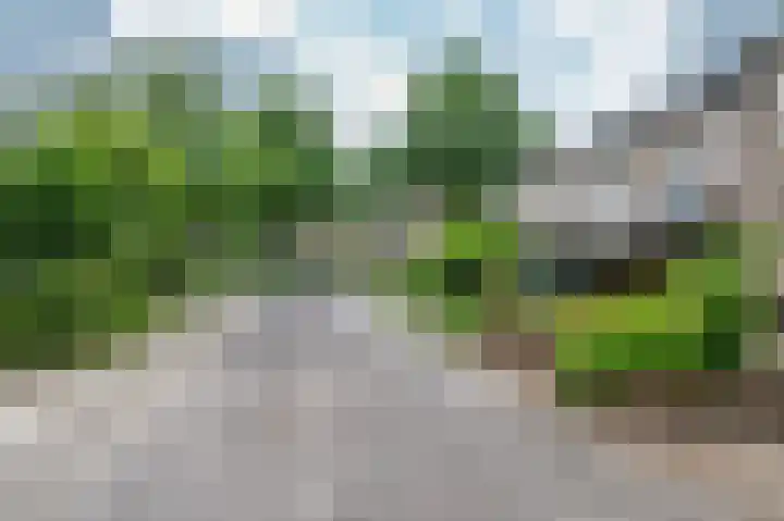Bontampsstraat 14 Venlo thumbnail 62