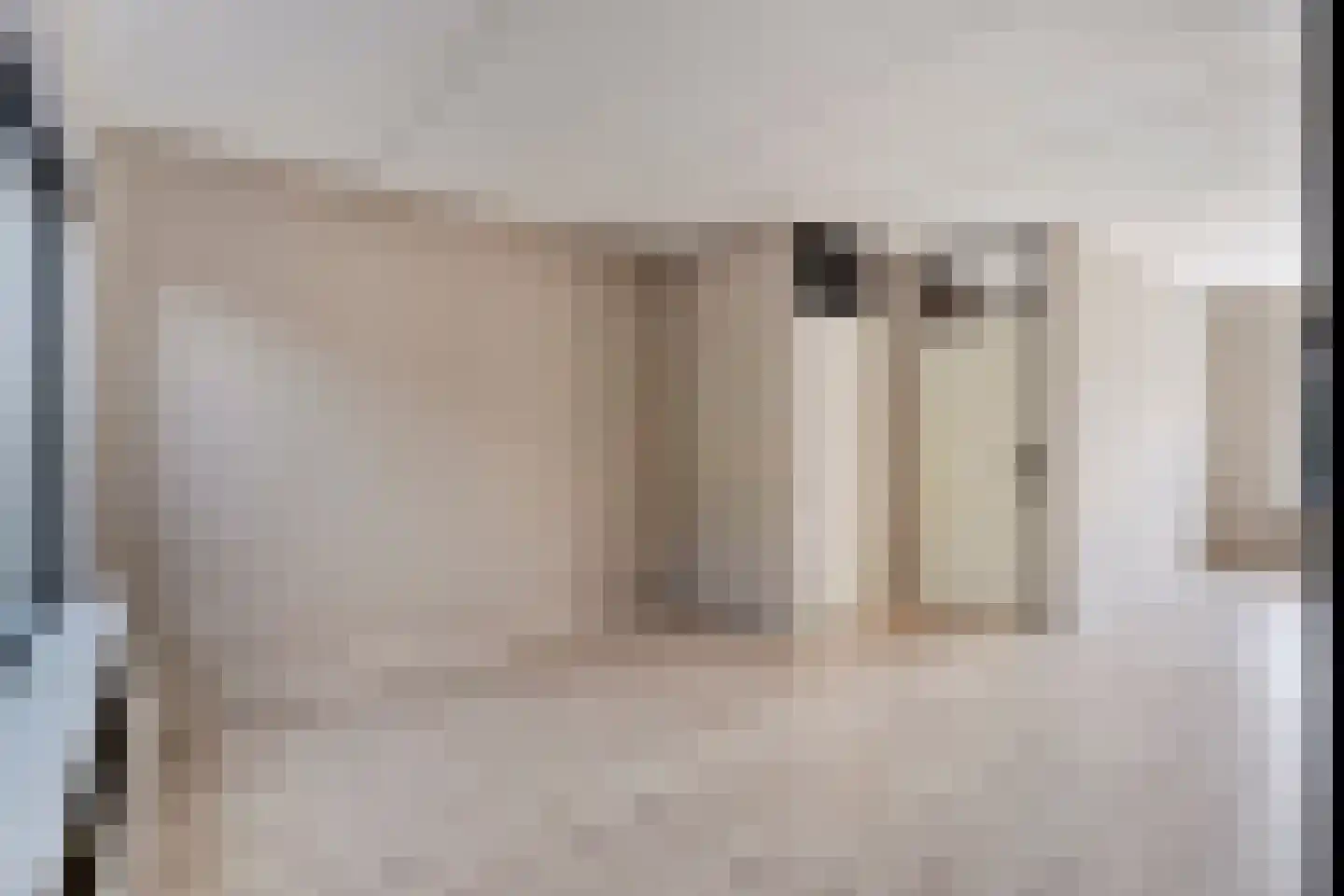 Bonte Kraai 10 Emmen thumbnail 10