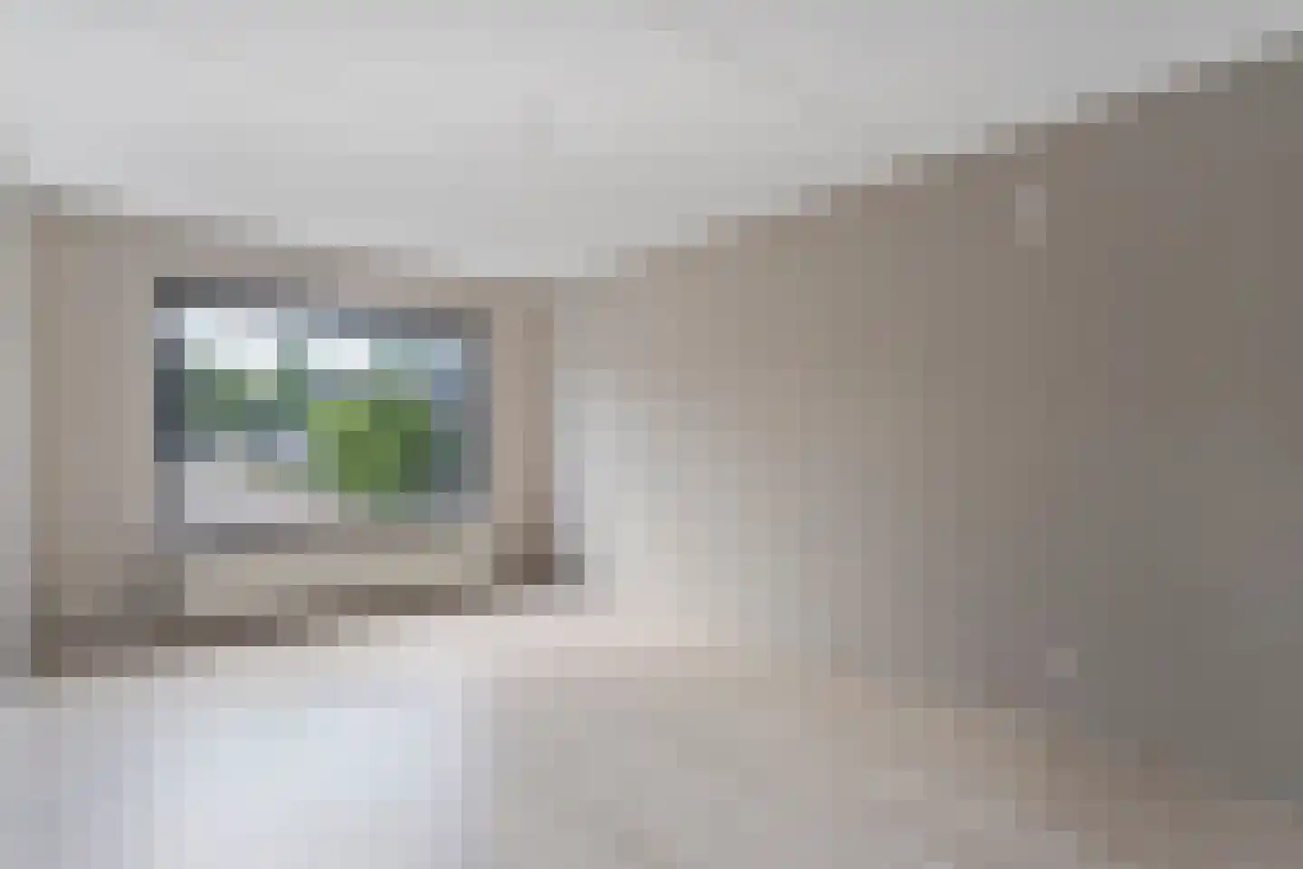Bonte Kraai 10 Emmen thumbnail 11